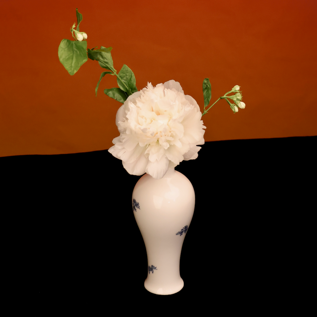 Fascinating Series Flameless Diffuser